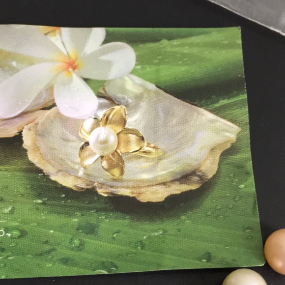 🖤Maui divers ‘Pick a pearl’ pearls - Picture 4 of 12